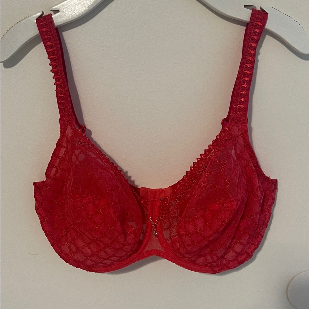 Vibrant Red Lace Underwire Bra